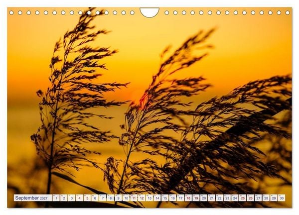 Produktbild: Feeling Ostsee (Wandkalender 2027 DIN A4 quer), CALVENDO Monatskalender