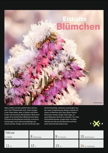 Produktbild: Terra X &ndash; Das Wunder Erde Wochenplaner 2027