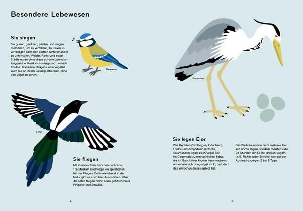 Produktbild: Ornithorama