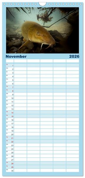Produktbild: Familienplaner 2026 - Faszination Fische mit 5 Spalten (Wandkalender, 21 x 45 cm) CALVENDO