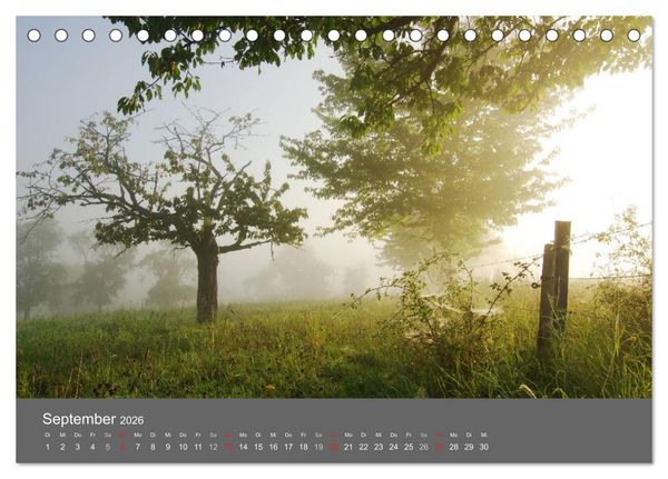 Produktbild: B&auml;ume (Tischkalender 2026 DIN A5 quer), CALVENDO Monatskalender