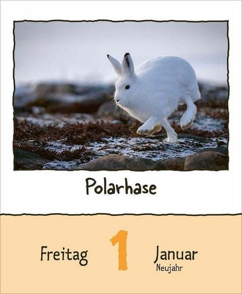 Produktbild: Tierisch unterwegs 2027
