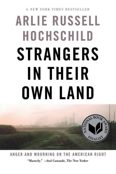 Produktbild: Strangers In Their Own Land