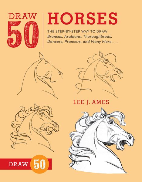 Produktbild: Draw 50 Horses