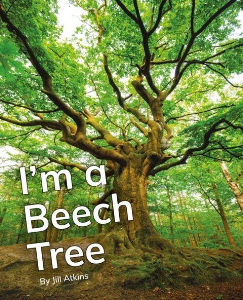 Produktbild: I'm a Beech Tree