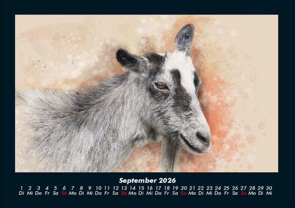Produktbild: Kunstkalender 2026 Fotokalender DIN A4