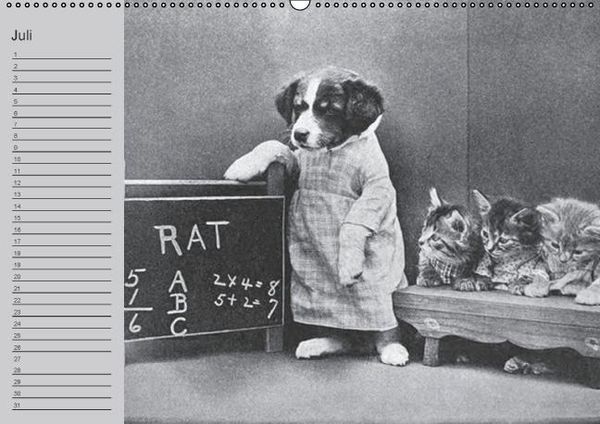 Produktbild: Katzen und Hunde - Nostalgie auf Pfoten (Wandkalender immerw&auml;hrend DIN A2 quer)