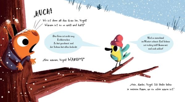 Produktbild: Der Schneedieb