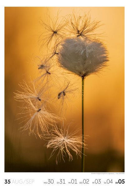 Produktbild: Natur Wochenkalender 2027