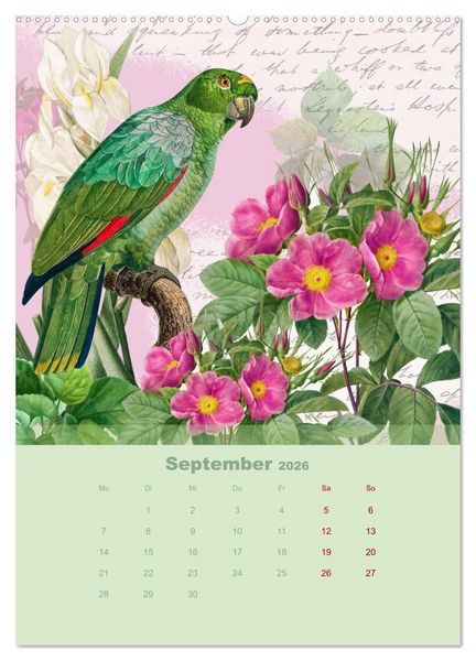 Produktbild: Rosencollagen mit Rosen von Pierre-Joseph Redout&eacute; (hochwertiger Premium Wandkalender 2026 DIN A2 hoch), Kunstdruck in Hochglanz