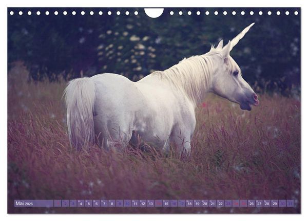 Produktbild: Einhorn Love - Fantasiewelt (Wandkalender 2026 DIN A4 quer), CALVENDO Monatskalender