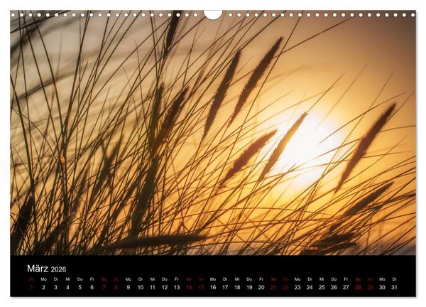 Produktbild: Wundersame Natur in Deutschland (Wandkalender 2026 DIN A3 quer), CALVENDO Monatskalender