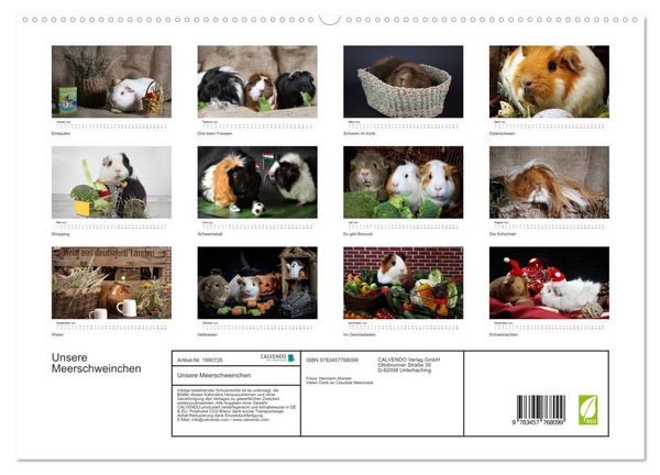 Produktbild: Unsere Meerschweinchen (hochwertiger Premium Wandkalender 2026 DIN A2 quer), Kunstdruck in Hochglanz