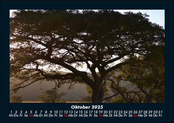 Produktbild: B&auml;ume 2025 Fotokalender DIN A5