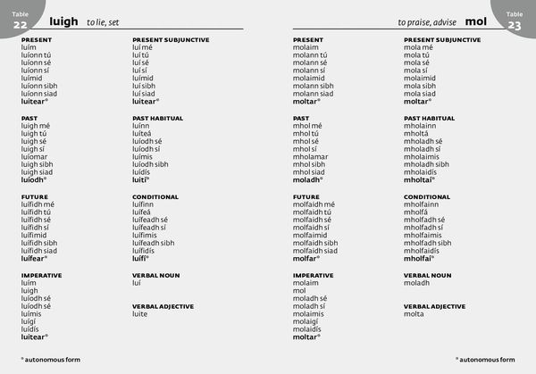Produktbild: Irish School Dictionary