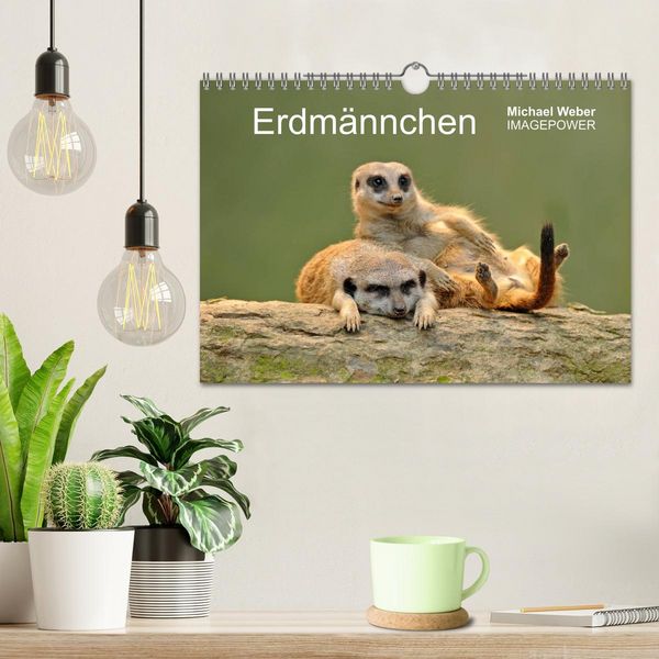 Produktbild: Erdm&auml;nnchen - Tierkinder (Wandkalender 2026 DIN A4 quer), CALVENDO Monatskalender
