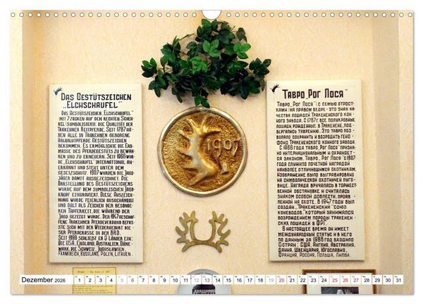 Produktbild: Mythos Trakehnen - Paradies ohne Pferde (Wandkalender 2026 DIN A3 quer), CALVENDO Monatskalender