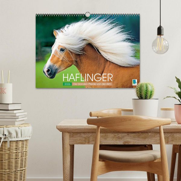 Produktbild: Haflinger: Die blonden Pferde von der Alm (Wandkalender 2026 DIN A3 quer), CALVENDO Monatskalender