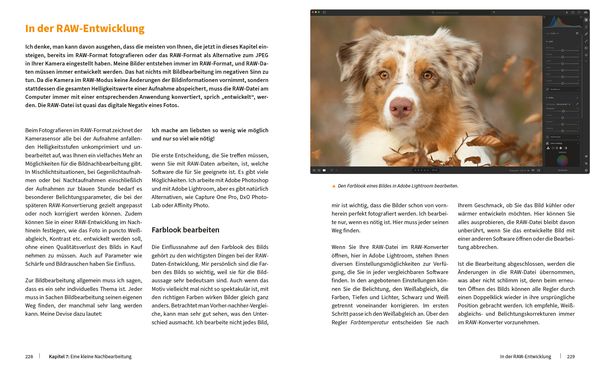 Produktbild: Hunde fotografieren - Kreative Bilder mit "Wau-Effekt"