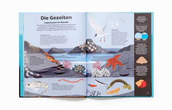 Produktbild: Unter der Lupe: Ozeane