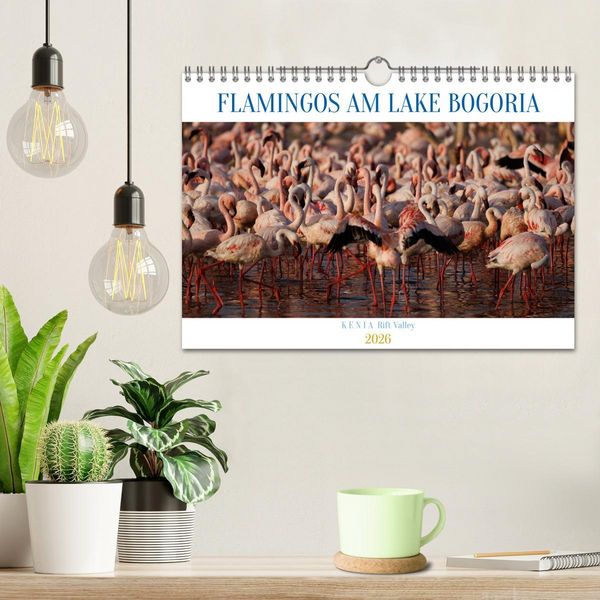 Produktbild: Flamingos am Lake Bogoria - Kenia (Wandkalender 2026 DIN A4 quer), CALVENDO Monatskalender
