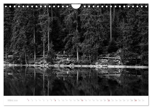 Produktbild: Mystischer Schwarzwald (Wandkalender 2026 DIN A4 quer), CALVENDO Monatskalender
