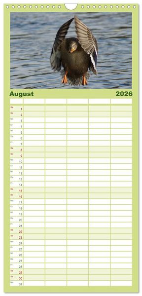 Produktbild: Familienplaner 2026 - Duck Power mit 5 Spalten (Wandkalender, 21 x 45 cm) CALVENDO