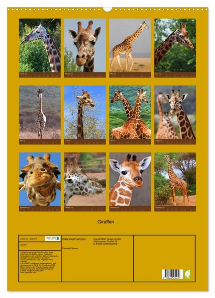 Produktbild: Giraffen (Wandkalender 2026 DIN A2 hoch), CALVENDO Monatskalender