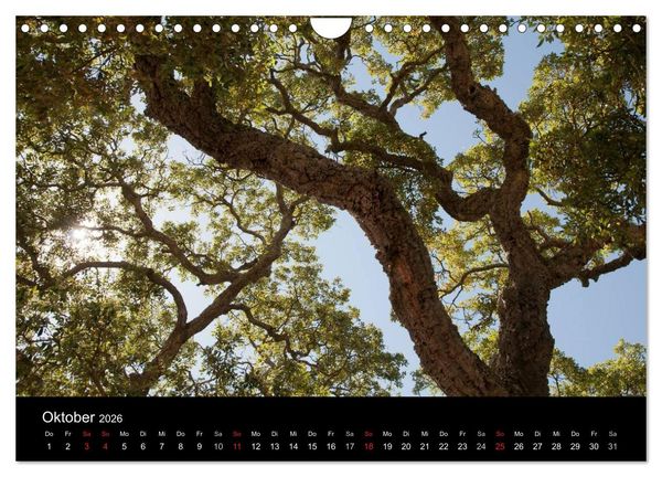 Produktbild: Sardinien Costa Smeralda und der Norden (Wandkalender 2026 DIN A4 quer), CALVENDO Monatskalender