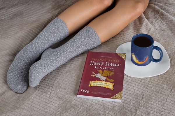 Produktbild: Das inoffizielle Harry-Potter-Lexikon