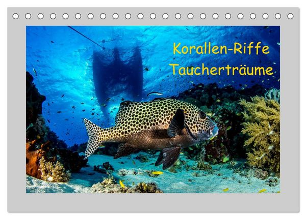 Produktbild: Korallen-Riffe Tauchertr&auml;ume (Tischkalender 2026 DIN A5 quer), CALVENDO Monatskalender