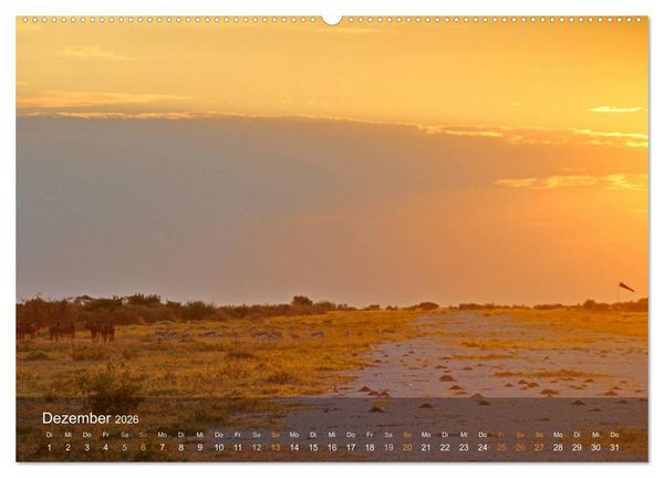 Produktbild: Botswana Wildlife (hochwertiger Premium Wandkalender 2026 DIN A2 quer), Kunstdruck in Hochglanz