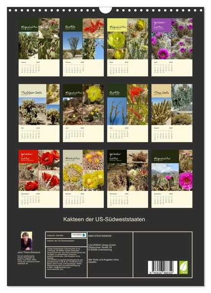 Produktbild: Kakteen der US-S&uuml;dweststaaten (Wandkalender 2026 DIN A3 hoch), CALVENDO Monatskalender