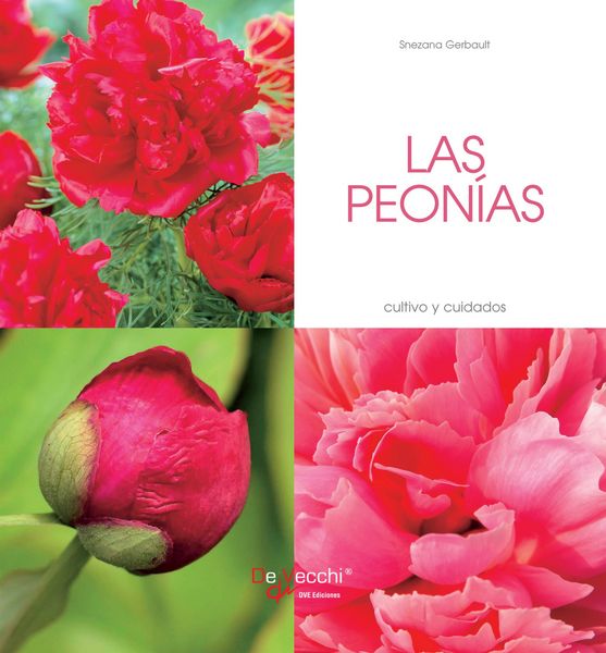 Produktbild: Las peon&iacute;as - Cultivo y cuidados