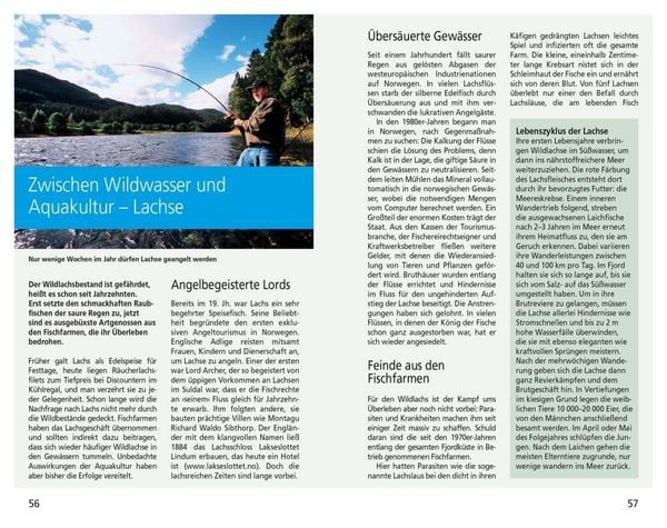 Produktbild: DuMont Reise-Taschenbuch Reisef&uuml;hrer Norwegen, Das Fjordland