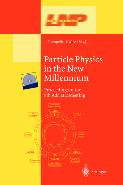 Produktbild: Particle Physics in the New Millennium