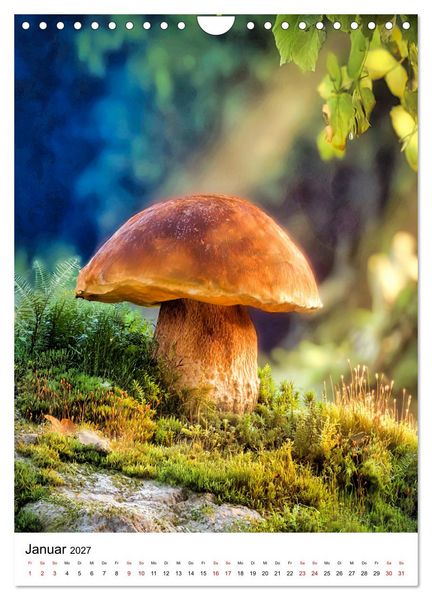 Produktbild: Pilzzeit - Leben auf dem Waldboden (Wandkalender 2027 DIN A4 hoch), CALVENDO Monatskalender