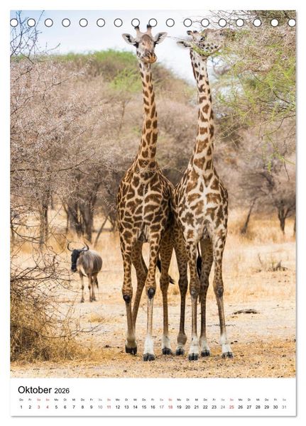 Produktbild: Serengeti Pur - Tansania (Tischkalender 2026 DIN A5 hoch), CALVENDO Monatskalender