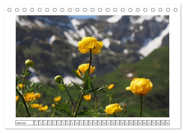 Produktbild: Alpenblumen. Bunte Welt in luftiger H&ouml;he (Tischkalender 2026 DIN A5 quer), CALVENDO Monatskalender