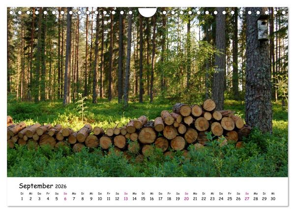 Produktbild: S&uuml;dschweden Smaland 2026 (Wandkalender 2026 DIN A4 quer), CALVENDO Monatskalender