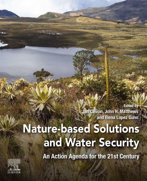 Produktbild: Nature-Based Solutions and Water Security