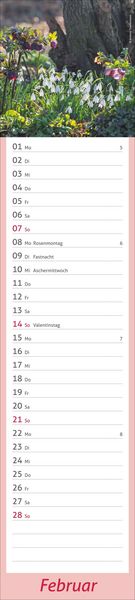 Produktbild: times&more Garten Langplaner 2027