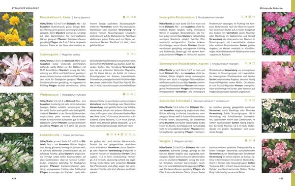 Produktbild: Das gro&szlig;e Praxishandbuch Garten