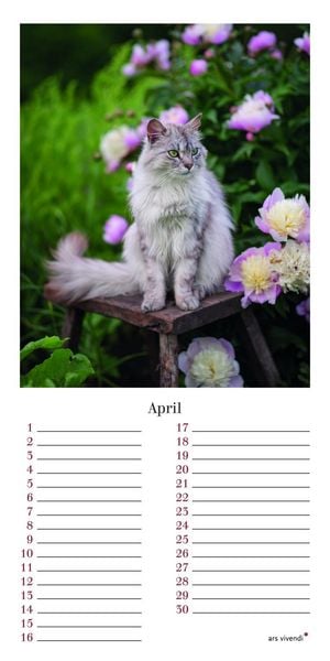 Produktbild: Geburtstagskalender Katzen