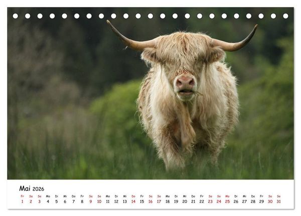 Produktbild: Schottland - Das Land mit rauem Charme (Tischkalender 2026 DIN A5 quer), CALVENDO Monatskalender