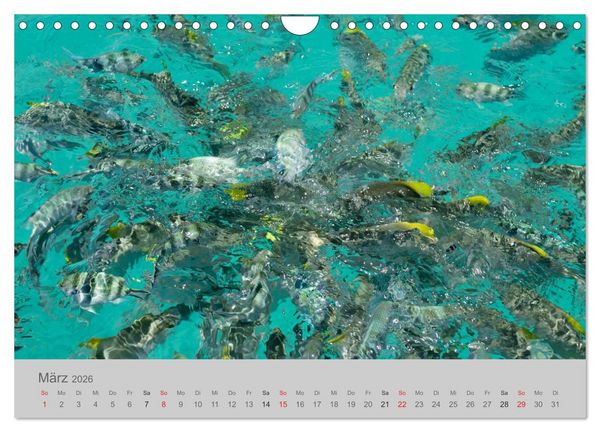 Produktbild: Lichtblicke - Seychellen (Wandkalender 2026 DIN A4 quer), CALVENDO Monatskalender