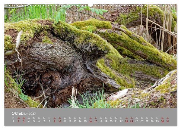 Produktbild: Biosph&auml;renreservat Schorfhede-Chorin (Wandkalender 2027 DIN A2 quer), CALVENDO Monatskalender