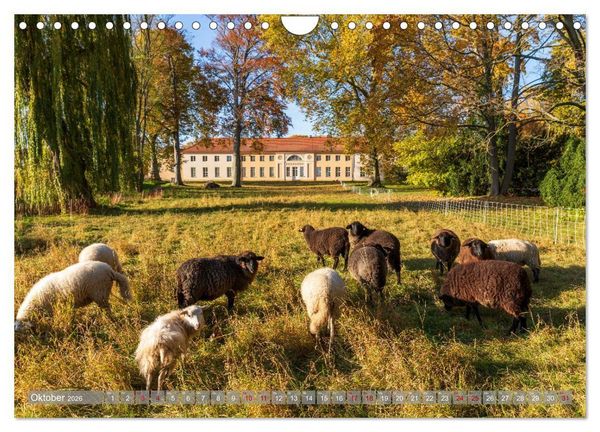 Produktbild: Schl&ouml;sser und G&auml;rten in Brandenburg (Wandkalender 2026 DIN A4 quer), CALVENDO Monatskalender