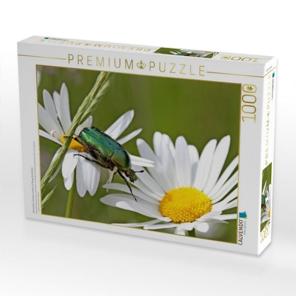 Produktbild: CALVENDO Puzzle Rosenk&auml;fer (Cetonia aurata) auf Margeritenbl&uuml;ten | 1000 Teile Lege-Gr&ouml;&szlig;e 64x48cm Foto-Puzzle f&uuml;r gl&uuml;ckliche Stunden