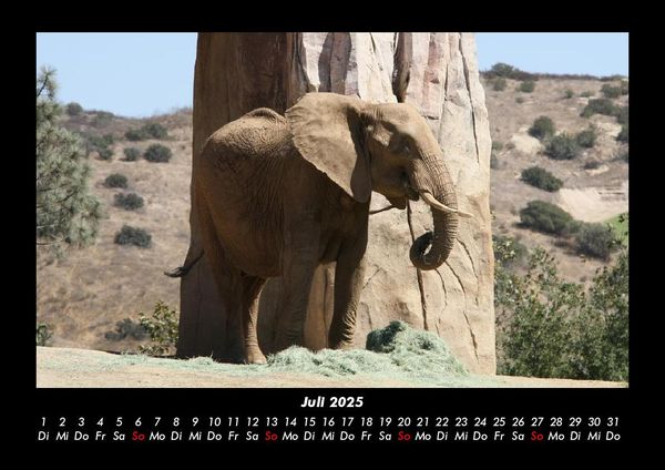 Produktbild: Der Tierkalender 2025 Fotokalender DIN A3